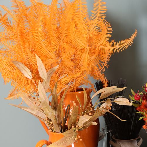 Rama de helecho, helecho preservado, decoración seca para arreglos florales, 60 cm, 10 unidades | Floristik24.es