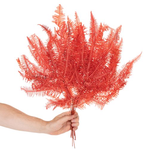 Helechos, flores secas preservadas, decoración otoñal, 60 cm, 10 unidades | Floristik24.es