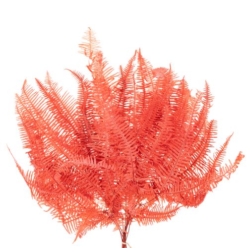 Helechos, flores secas preservadas, decoración otoñal, 60 cm, 10 unidades | Floristik24.es