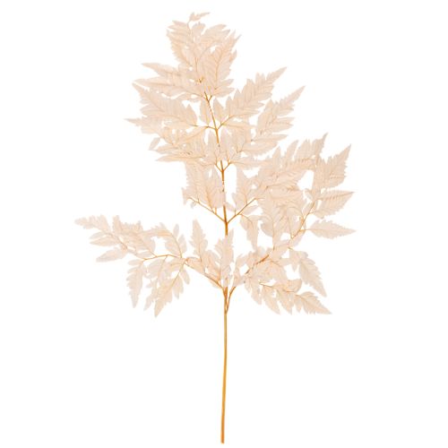 Decoración de helechos secos para jarrón de 42 cm, 10 unidades. comprar | Floristik24.es