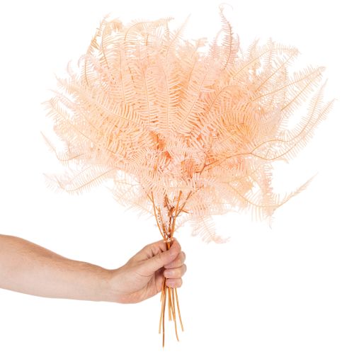 Hojas de helecho secas, decoración de helechos para jarrones, 60 cm, 10 unidades | Floristik24.es