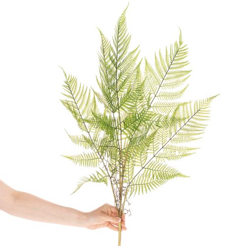 Rama de helecho artificial, planta verde decorativa para arreglos florales, 80 cm. | Floristik24.es