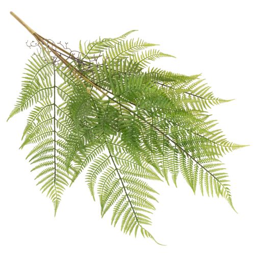 Rama de helecho artificial, planta verde decorativa para arreglos florales, 80 cm. | Floristik24.es