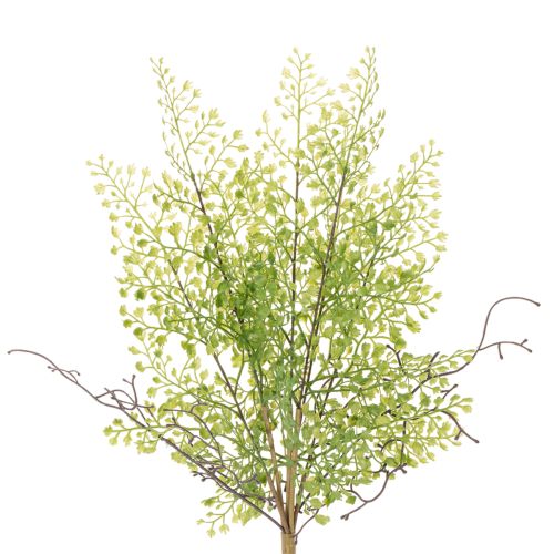 Rama artificial de rusco verde para decoración floral, 41 cm. comprar | Floristik24.es