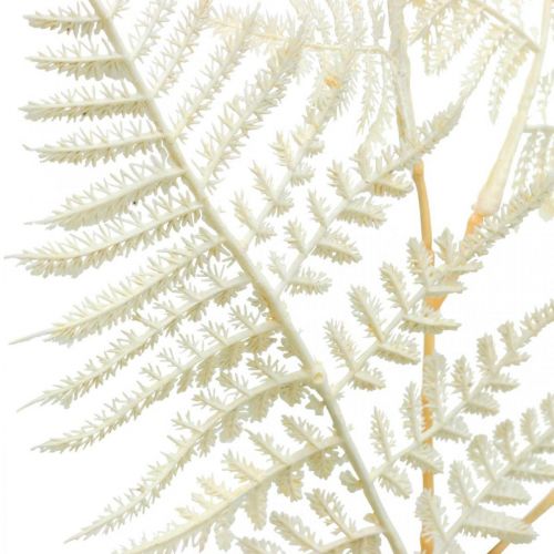 Artículo Helecho de hoja decorativa, planta artificial, rama de helecho, hoja de helecho decorativa blanca L59cm