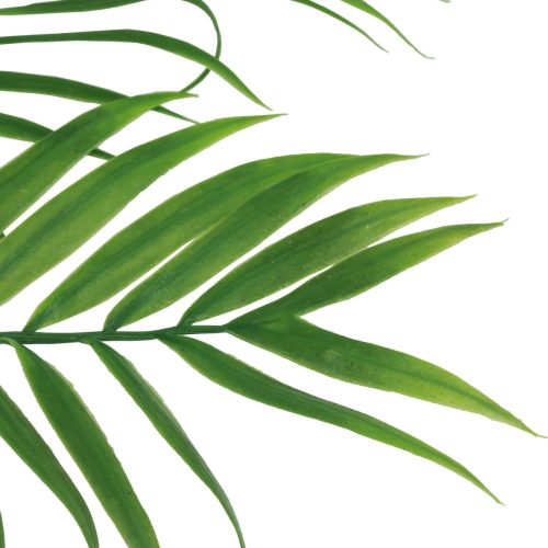 Artículo Palmera decoración hojas de palma plantas artificiales verde 56cm 3uds
