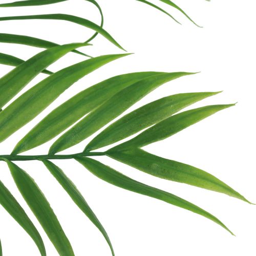 Artículo Hojas de palmera artificiales Plantas verdes artificiales 56cm 3uds