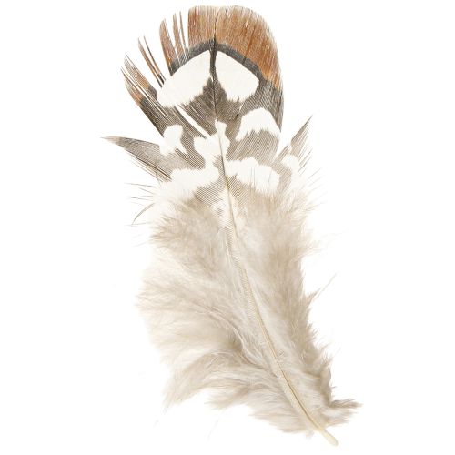 Floristik24 Plumas de faisán para manualidades, marrón moteado, 4-9 cm, 60 piezas