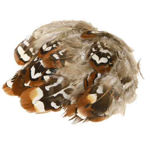 Artículo Plumas de faisán para manualidades, marrón moteado, 4-9 cm, 60 piezas