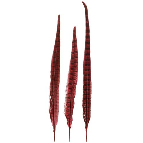 Floristik24 Plumas de Faisán Rojo Plumas Reales Decoración Vino Rojo 35-45cm 9 piezas