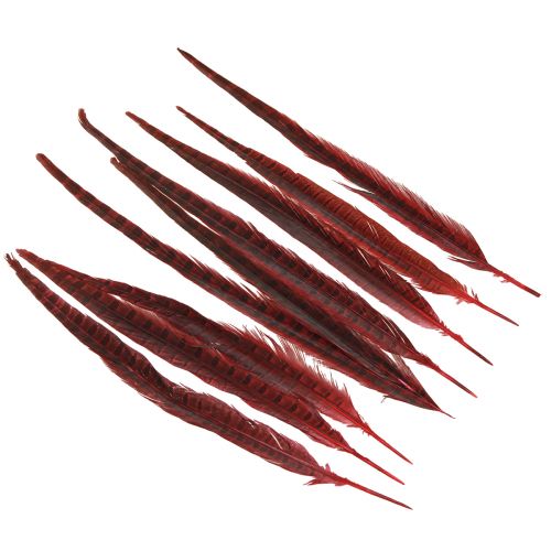 Artículo Plumas de Faisán Rojo Plumas Reales Decoración Vino Rojo 35-45cm 9 piezas