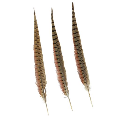 Floristik24 Plumas de Faisán Decoración Plumas Reales Natural 40cm 9 piezas