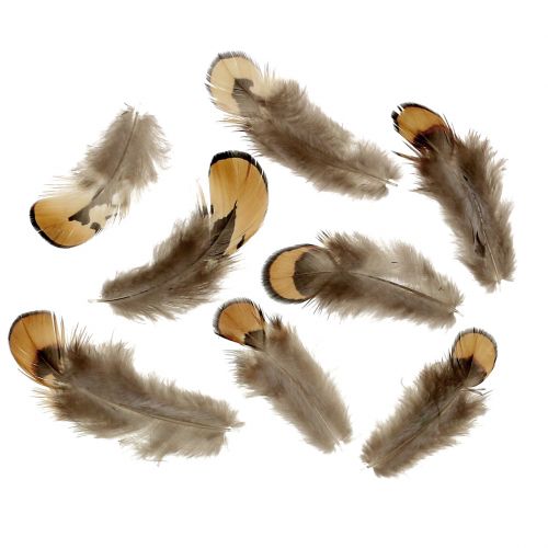 Floristik24 Mezcla de plumas natural 12g