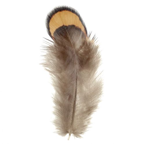 Floristik24 Mezcla de plumas natural 12g