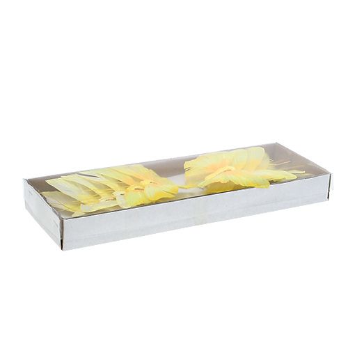 Floristik24 Pluma Mariposa 10cm Amarillo 12pcs
