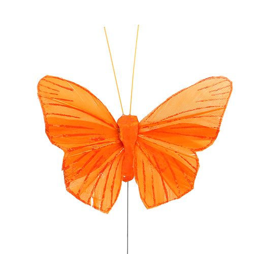 Floristik24 Pluma mariposa 8cm naranja 24pcs