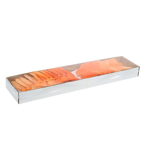 Floristik24 Pluma mariposa 8cm naranja 24pcs