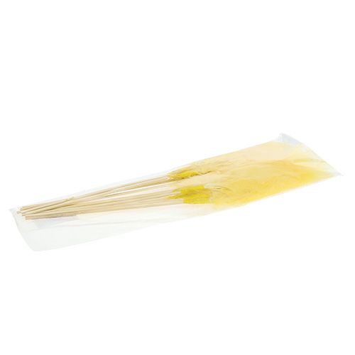 Floristik24 Resorte en palo L 30cm Amarillo 12uds