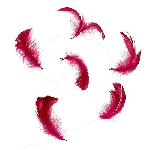 Floristik24 Muelle sobre alambre Erika 10m