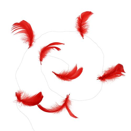 Floristik24 Plumas en alambre Rojo 10m