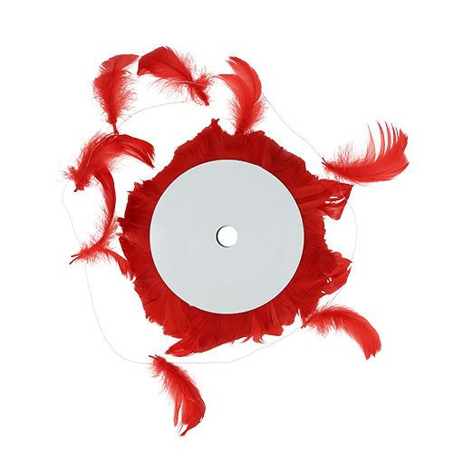 Floristik24 Plumas en alambre Rojo 10m
