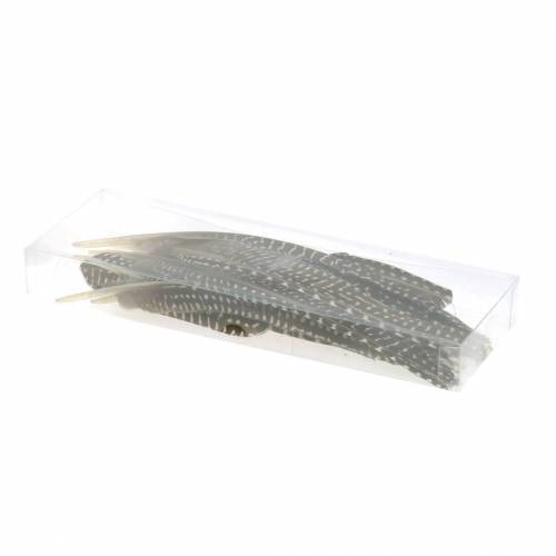 Floristik24 Plumas naturales 18-24cm 10g