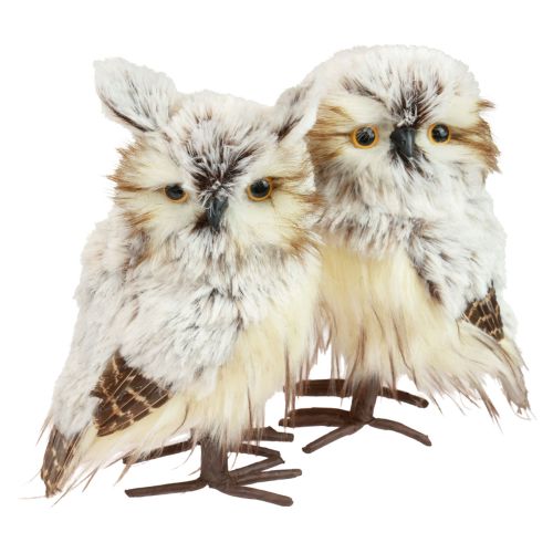 Artículo Búho decorativo figuras de búhos, decoración de animales del bosque 21/22cm blanco-marrón juego de 2
