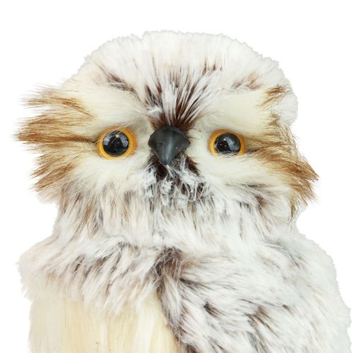 Artículo Búho decorativo figuras de búhos, decoración de animales del bosque 21/22cm blanco-marrón juego de 2
