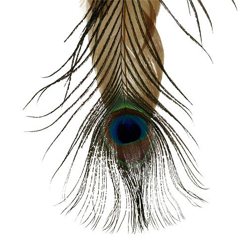 Artículo Percha de plumas pluma de pavo real 34cm 3 piezas