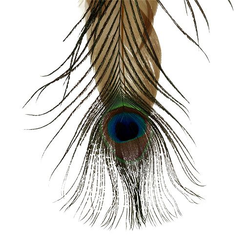 Floristik24 Percha de plumas pluma de pavo real 34cm 3 piezas