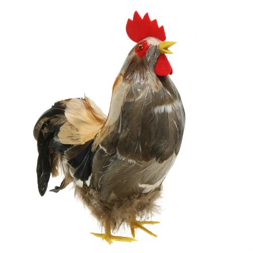 Artículo Decoración de Pascua de gallos y gallinas con plumas naturales H26cm juego de 2