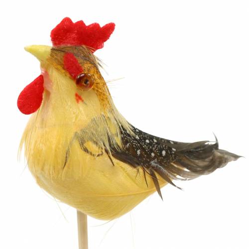 Floristik24 Gallo con plumas reales en el palo naranja, amarillo, marrón surtido H5-6cm 12 piezas