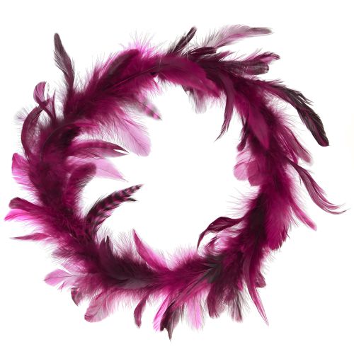 Floristik24 Corona de plumas decoración de plumas burdeos plumas de faisán Ø20cm 3 piezas