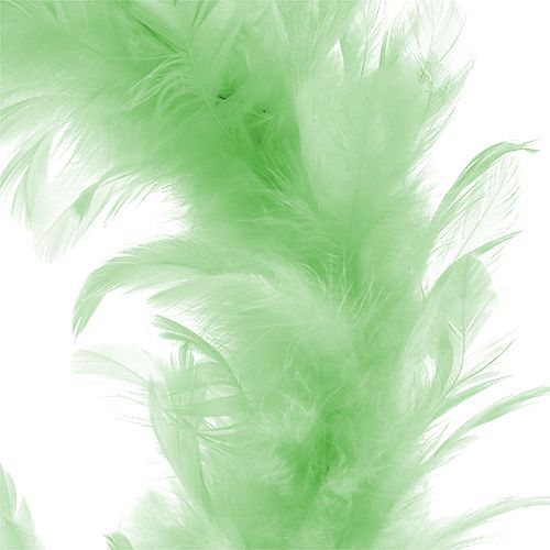 Artículo Corona de plumas Verde claro Ø15cm 4pzs