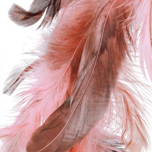 Artículo Corona de plumas de faisán decoración en rosa Ø20cm 3 piezas