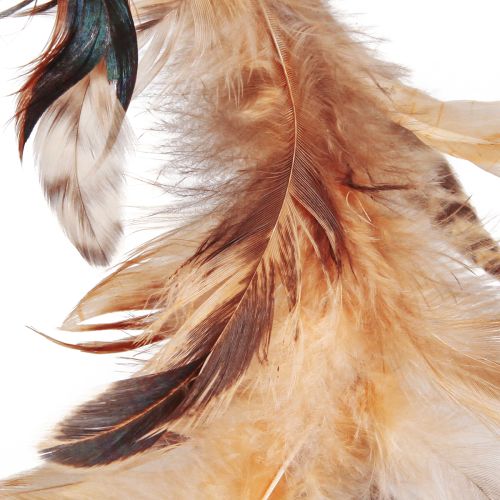 Artículo Corona de plumas en color marrón claro, corona decorativa plumas Ø20cm 3 uds