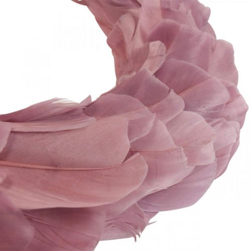 Floristik24 Corona primavera corona rosa antigua para puerta colgante corona Ø20cm 3pcs