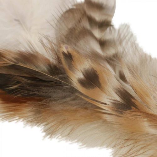 Artículo Corona de plumas plumas decorativas decoración natural de Pascua Ø15cm 4 piezas