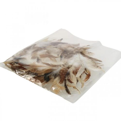 Artículo Corona de plumas plumas decorativas decoración natural de Pascua Ø15cm 4 piezas