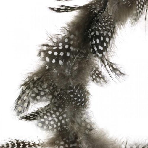 Artículo Corona decorativa de plumas de gallina de guinea corona de plumas reales Ø20cm 3ud