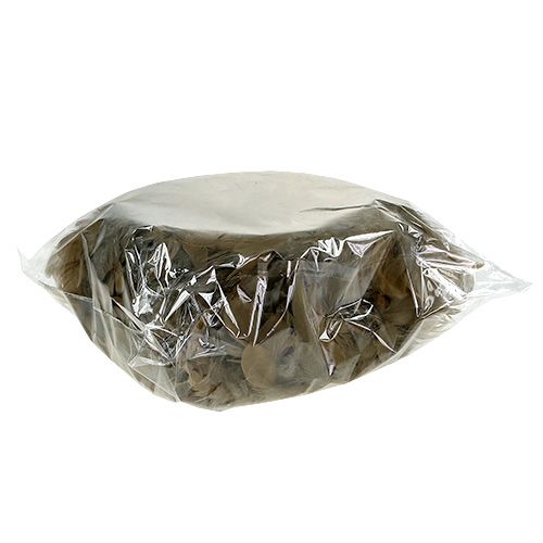Floristik24 Corona de primavera para colgar Ø20cm marrón 3pcs