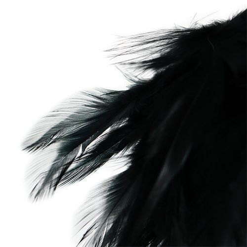 Artículo Bola de plumas Ø10cm negra para colgar