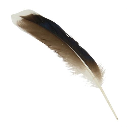 Floristik24 Plumas naturales 150pcs
