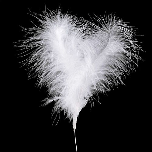 Floristik24 Plumas sobre alambre L27cm blanco 6 piezas