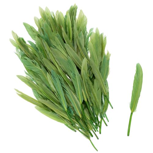 Plumas decorativas para un ambiente elegante y decoraciones impresionantes 10cm