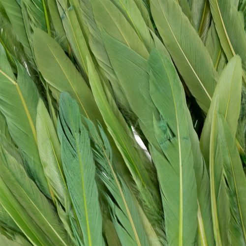 Artículo Plumas decorativas para un ambiente elegante y decoraciones impresionantes 10cm