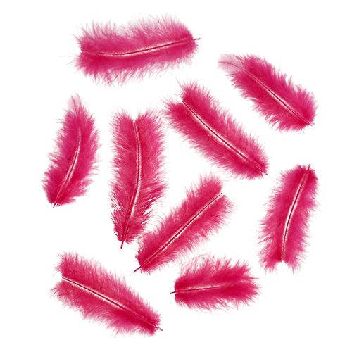 Floristik24 Plumas cortas 30g Fucsia