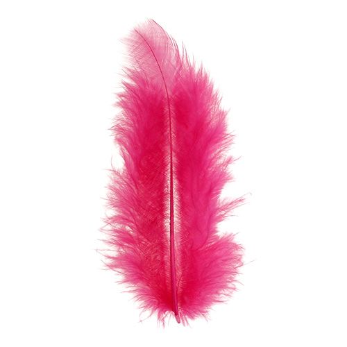 Floristik24 Plumas cortas 30g Fucsia