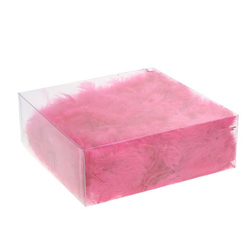 Floristik24 Plumas cortas 30g Fucsia