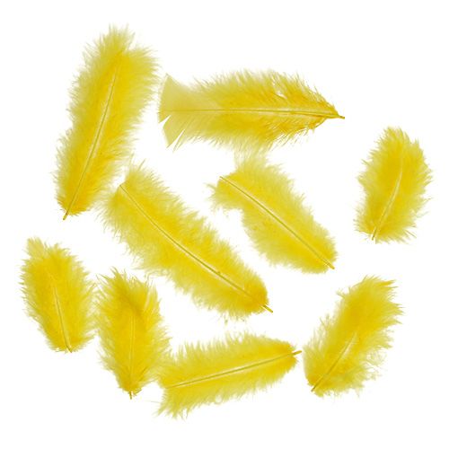 Floristik24 Plumas 30g amarillo dorado